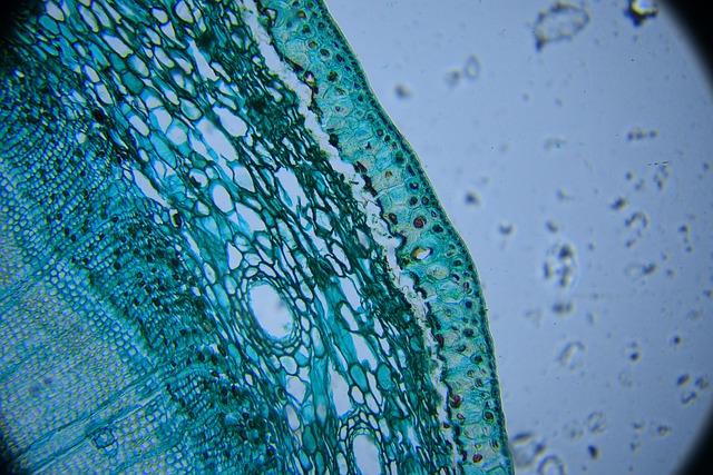 Biologens arbejde set fra et økonomisk perspektiv